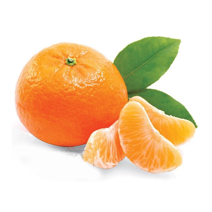 Satsuma